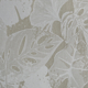 ZANI 0570